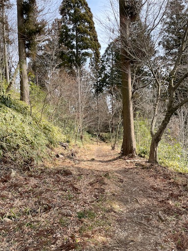 f:id:tmtmz:20220307211642j:image