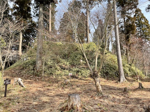 f:id:tmtmz:20220307211744j:image