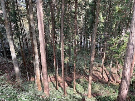 f:id:tmtmz:20220307211759j:image