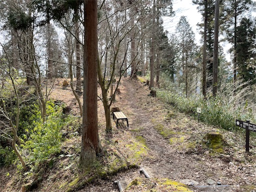 f:id:tmtmz:20220307211837j:image