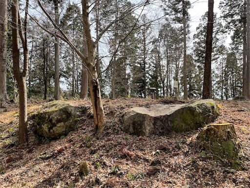 f:id:tmtmz:20220307211920j:image