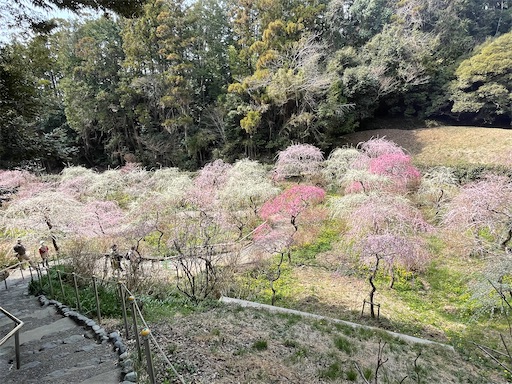 f:id:tmtmz:20220313171833j:image f:id:tmtmz:20220313171833j:image