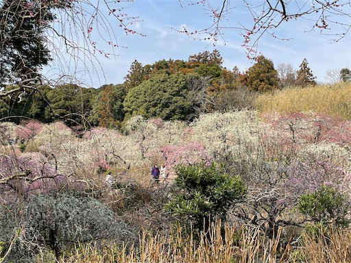 f:id:tmtmz:20220313171841j:image f:id:tmtmz:20220313171841j:image