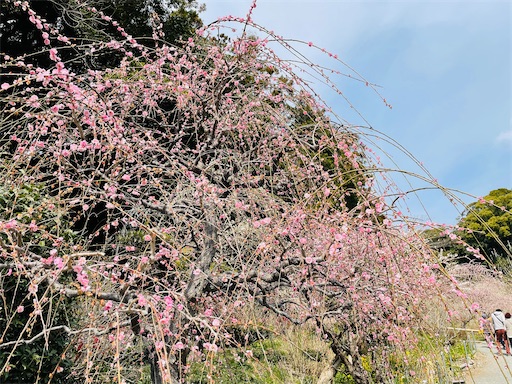 f:id:tmtmz:20220313171930j:image f:id:tmtmz:20220313171930j:image