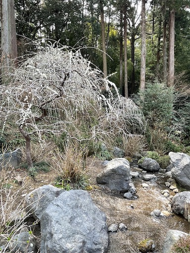 f:id:tmtmz:20220313171937j:image f:id:tmtmz:20220313171937j:image