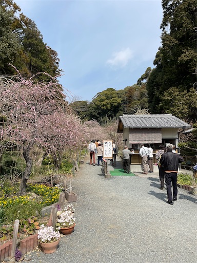 f:id:tmtmz:20220313171957j:image f:id:tmtmz:20220313171957j:image