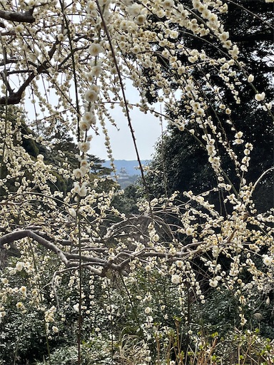 f:id:tmtmz:20220313172003j:image f:id:tmtmz:20220313172003j:image