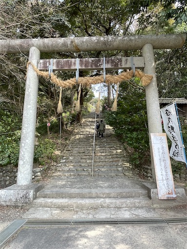 f:id:tmtmz:20220313172044j:image f:id:tmtmz:20220313172044j:image