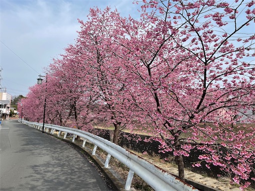 f:id:tmtmz:20220313172248j:image