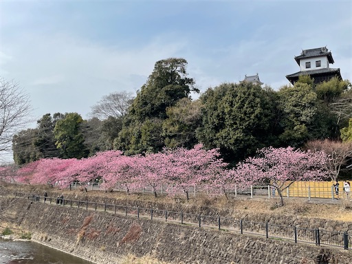 f:id:tmtmz:20220313172250j:image