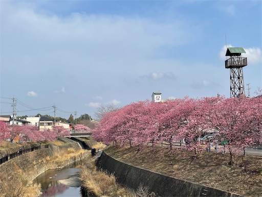 f:id:tmtmz:20220313172256j:image