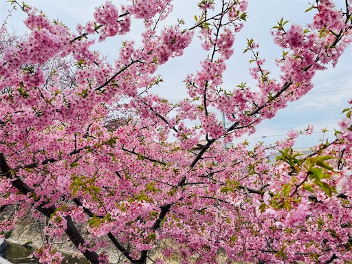 f:id:tmtmz:20220313172258j:image