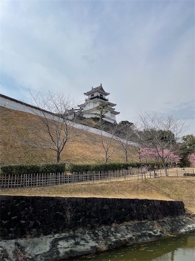 f:id:tmtmz:20220313172330j:image