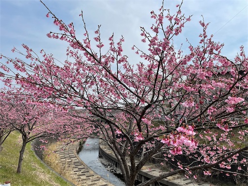 f:id:tmtmz:20220313172335j:image