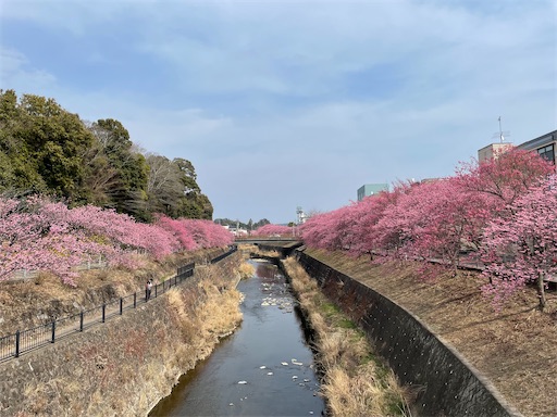 f:id:tmtmz:20220313172347j:image