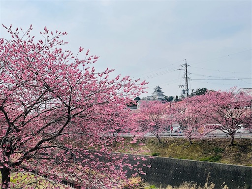 f:id:tmtmz:20220313172357j:image