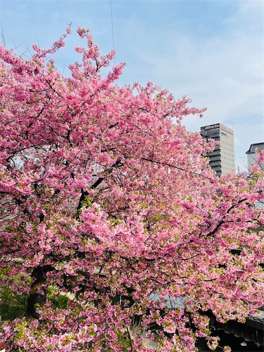 f:id:tmtmz:20220313172402j:image