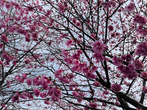 f:id:tmtmz:20220313172405j:image