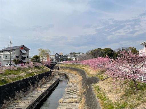 f:id:tmtmz:20220313172407j:image