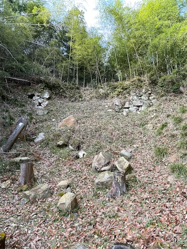 f:id:tmtmz:20220320215743j:image f:id:tmtmz:20220320215743j:image