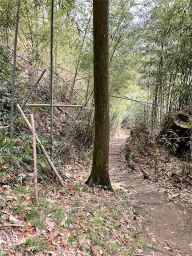 f:id:tmtmz:20220320215823j:image f:id:tmtmz:20220320215823j:image