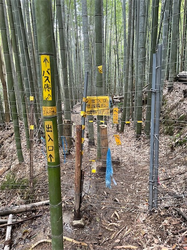 f:id:tmtmz:20220320215840j:image f:id:tmtmz:20220320215840j:image