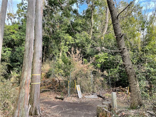 f:id:tmtmz:20220320215844j:image f:id:tmtmz:20220320215844j:image