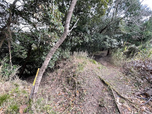 f:id:tmtmz:20220320215932j:image f:id:tmtmz:20220320215932j:image