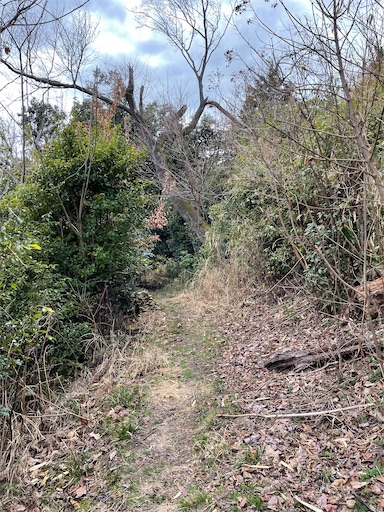 f:id:tmtmz:20220320220052j:image f:id:tmtmz:20220320220052j:image