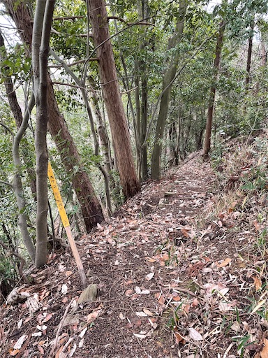 f:id:tmtmz:20220320220111j:image f:id:tmtmz:20220320220111j:image