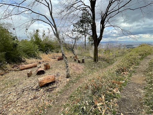 f:id:tmtmz:20220320220206j:image f:id:tmtmz:20220320220206j:image