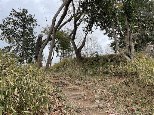 f:id:tmtmz:20220320220214j:image f:id:tmtmz:20220320220214j:image