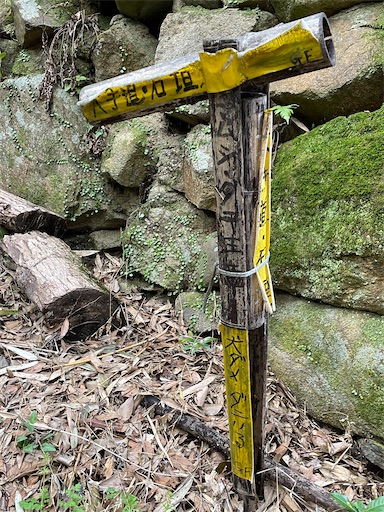 f:id:tmtmz:20220320220259j:image f:id:tmtmz:20220320220259j:image