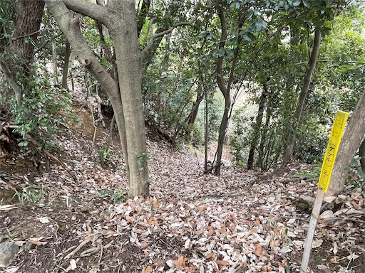 f:id:tmtmz:20220320220345j:image f:id:tmtmz:20220320220345j:image