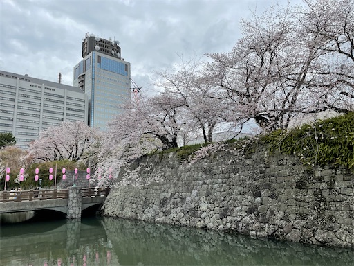 f:id:tmtmz:20220402001230j:image f:id:tmtmz:20220402001230j:image