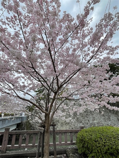 f:id:tmtmz:20220402001234j:image f:id:tmtmz:20220402001234j:image