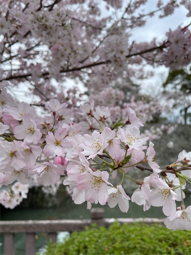 f:id:tmtmz:20220402001239j:image f:id:tmtmz:20220402001239j:image