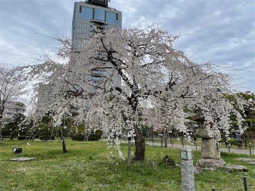 f:id:tmtmz:20220402001246j:image f:id:tmtmz:20220402001246j:image