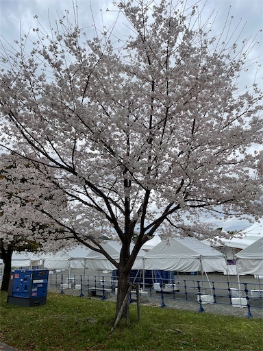 f:id:tmtmz:20220402001252j:image f:id:tmtmz:20220402001252j:image