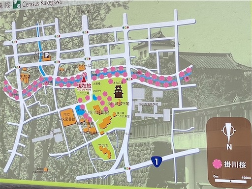 f:id:tmtmz:20220405225526j:image