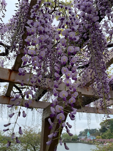 f:id:tmtmz:20220417222025j:image