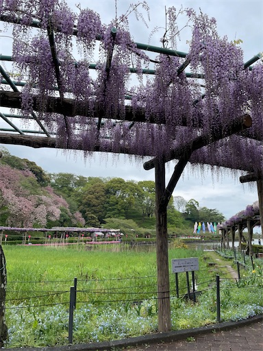 f:id:tmtmz:20220417222029j:image