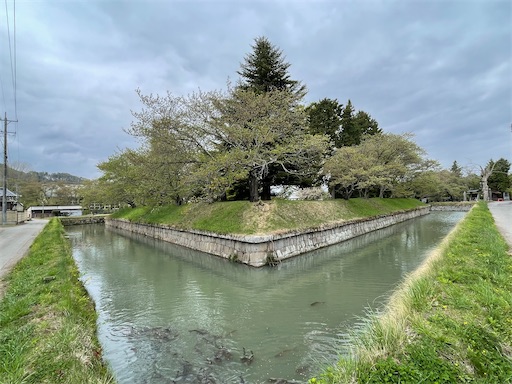 f:id:tmtmz:20220501211748j:image