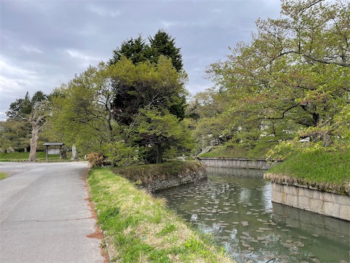 f:id:tmtmz:20220501211834j:image