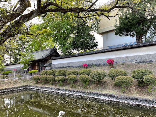 f:id:tmtmz:20220504131003j:image