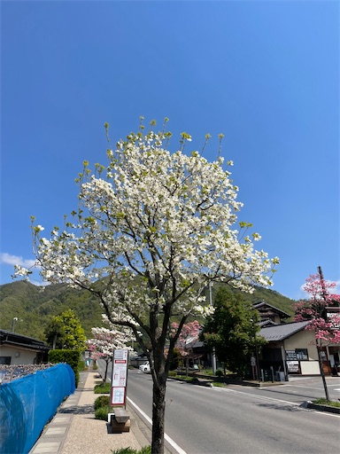 f:id:tmtmz:20220504132733j:image