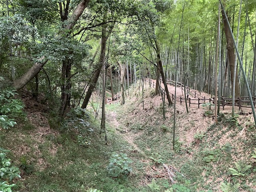 f:id:tmtmz:20220619145358j:image