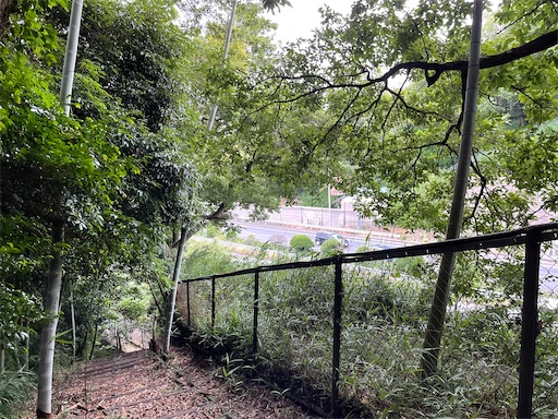 f:id:tmtmz:20220619145406j:image