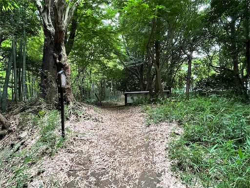 f:id:tmtmz:20220619145421j:image