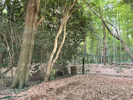 f:id:tmtmz:20220619145434j:image